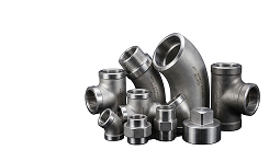 Forged Fittings